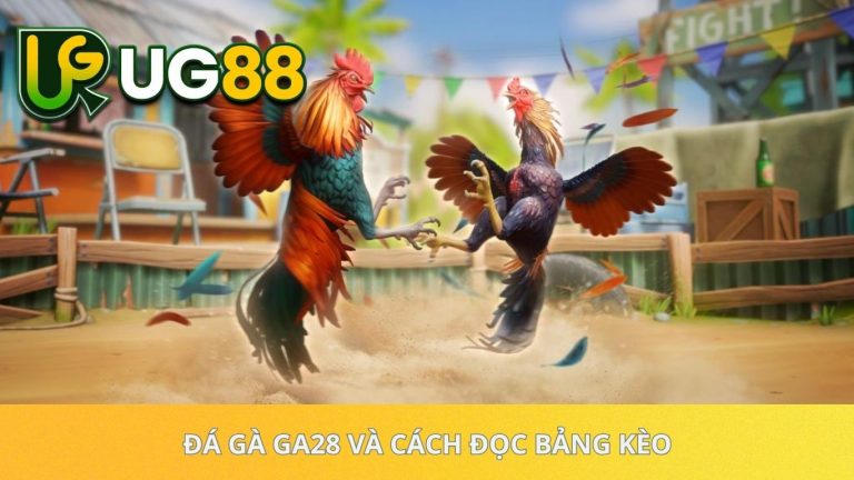 Đá gà GA28 và Cách đọc bảng kèo